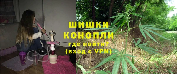 бошки Алексин