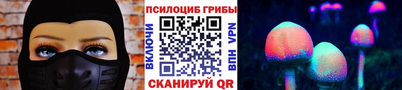 Галлюциногенные грибы ЛСД  Козловка 